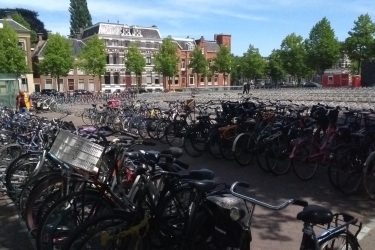 Fietsopruiming Ossenmarkt