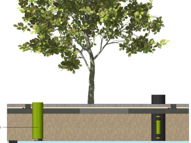 Wateropvangsysteem bomen Grote Markt