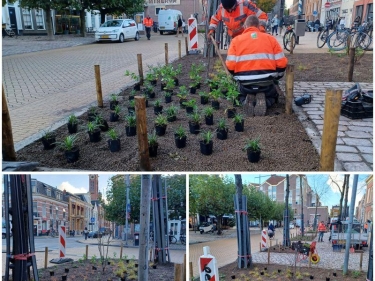 Nieuwe beplanting Minervaplein (bron Sight Landscape)